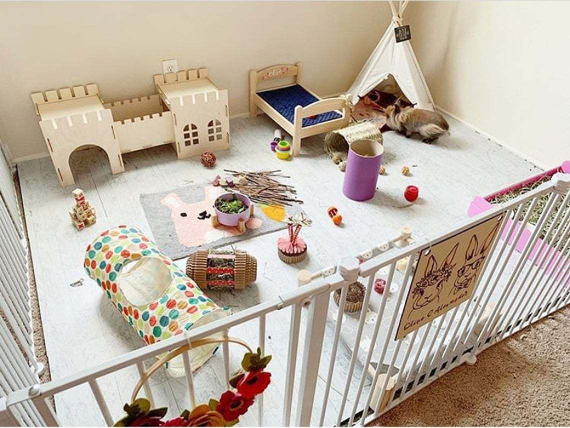 Rabbit Castle